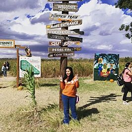 image of yotpo vugc carousel